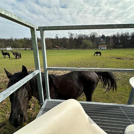 Glamping - Stylova Maringotka V Srdci Ladova Kraje, Pobliz Hlavniho Mesta Prahy Stribrna Skalice Bagian luar foto