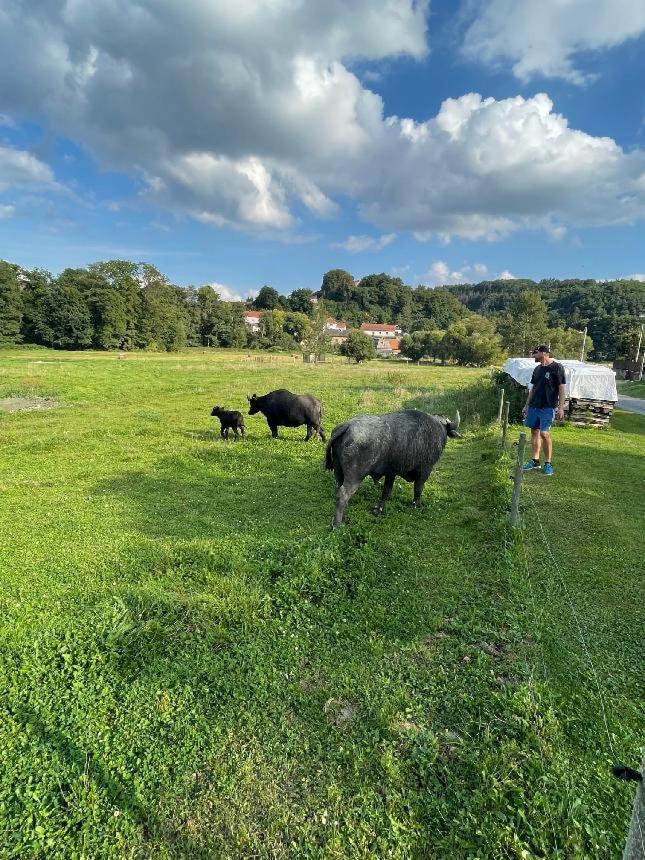 Glamping - Stylova Maringotka V Srdci Ladova Kraje, Pobliz Hlavniho Mesta Prahy Stribrna Skalice Bagian luar foto