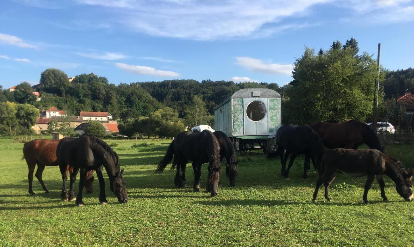 Glamping - Stylova Maringotka V Srdci Ladova Kraje, Pobliz Hlavniho Mesta Prahy Stribrna Skalice Bagian luar foto
