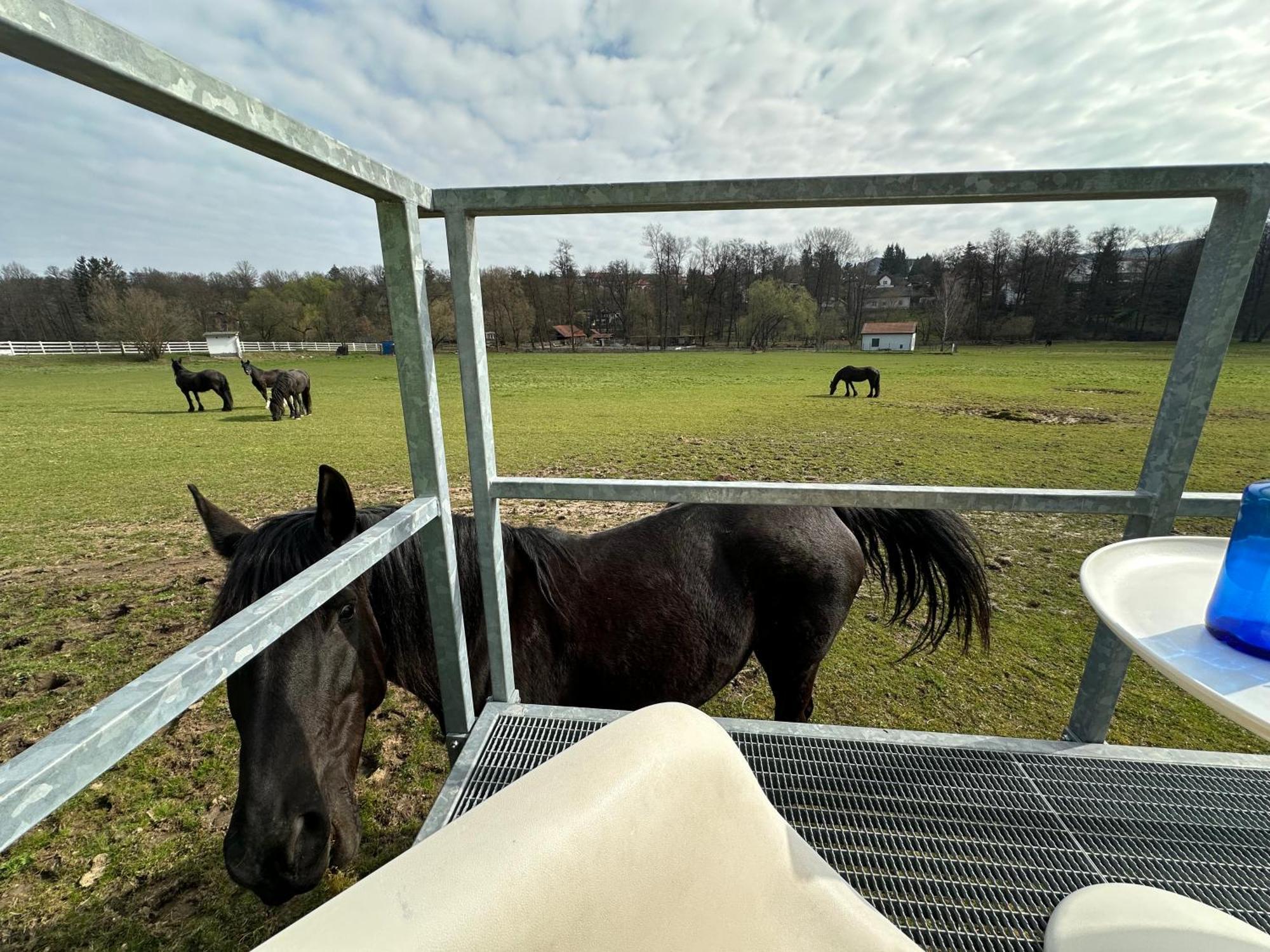 Glamping - Stylova Maringotka V Srdci Ladova Kraje, Pobliz Hlavniho Mesta Prahy Stribrna Skalice Bagian luar foto